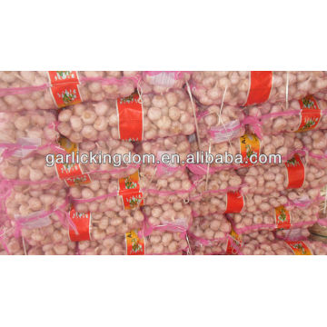 normal white garlic Malaysia market